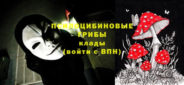 прущие грибы Баксан